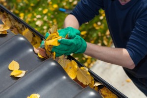 Checklist: Is Your Roof Ready for Spring?