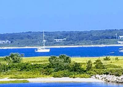 bots in blue water