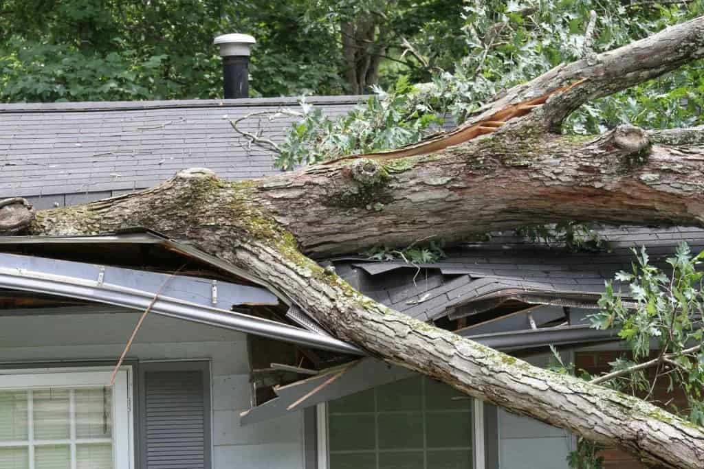 Roof Storm Damage Assessment Roof Storm Damage Assessment